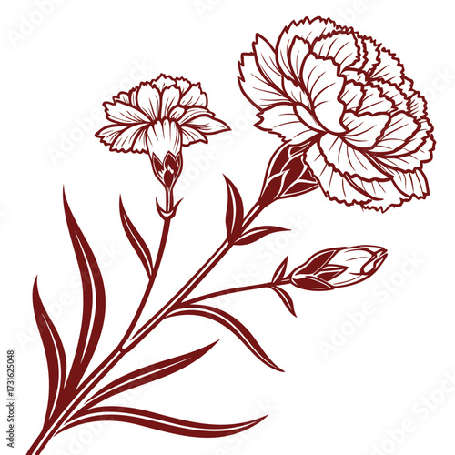 red carnation with leaves