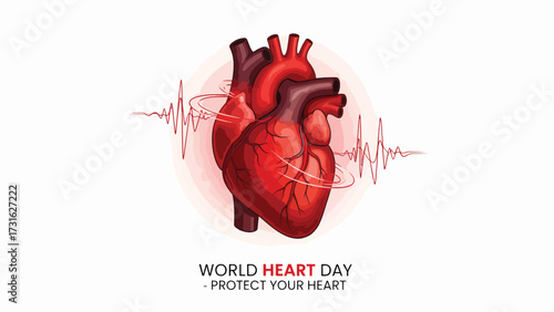 A realistic illustration of a human heart with a pulsating electrocardiogram waveform in the background, promoting World Heart Day and heart health awareness.
