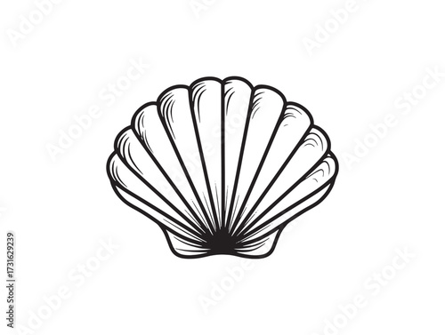 Seashell treasures hidden beneath sandy shores