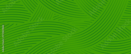 farm green banner, organic abstract background with fields. wavy green lines, natural organic products. ecology background. striped farmer green Pattern