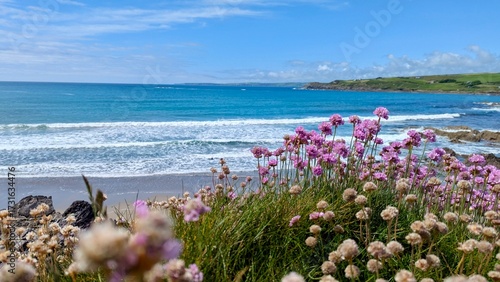 flowers on the beach