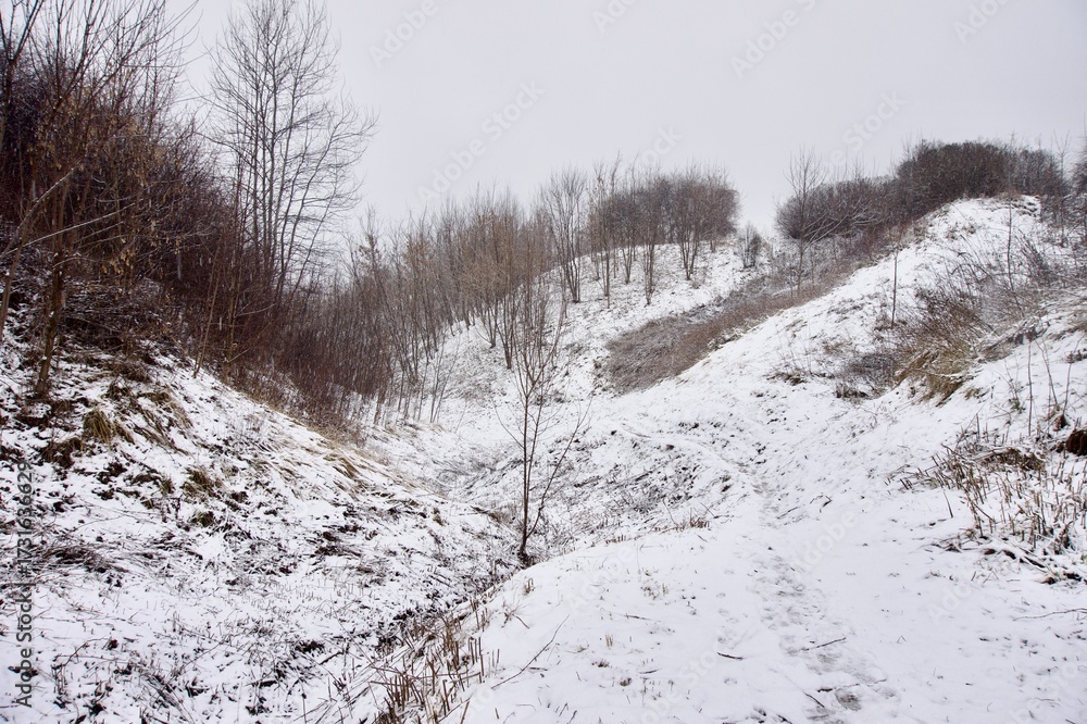 Fototapeta premium Park in winter in cloudy weather