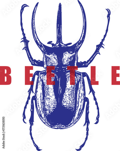 Rhinoceros Beetle High Contrast Engraving. Blue and Red Insect Illustration for T-Shirt Design. Vintage Style Bug, Entomology Art. Isolated on White Background.