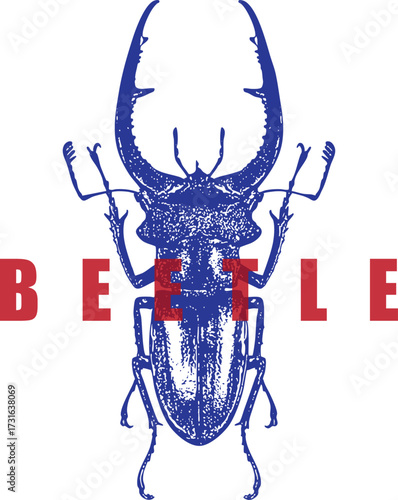 Stag Beetle Vintage Engraving. Blue Insect Illustration, Red Text. High Contrast Entomology Art for Logo or T-Shirt Design. Lucanus Cervus. Isolated on White.
