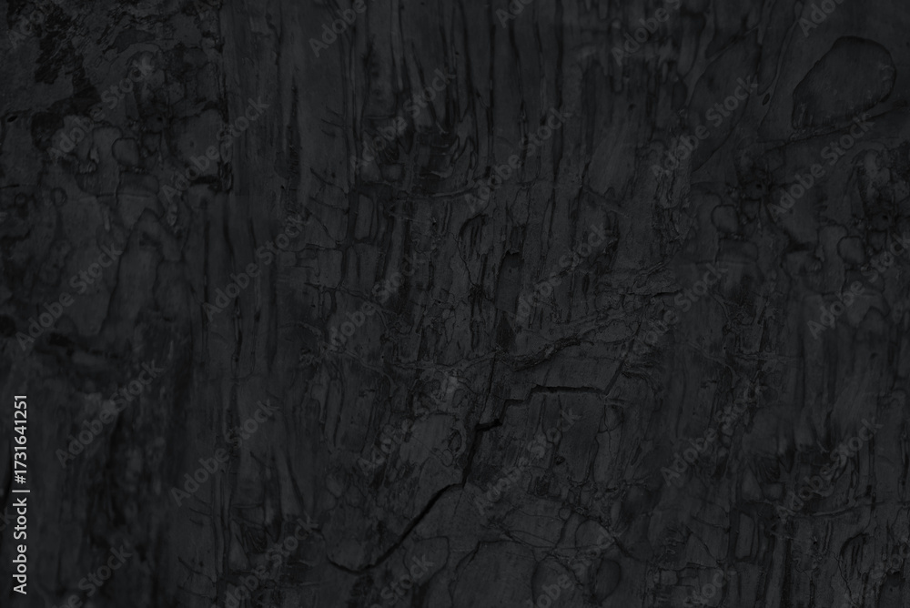 Fototapeta premium tree damaged by bark beetle. abstract creative background for design