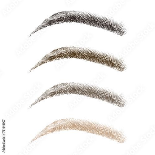 Vector Set of Eyebrows in Different Colors