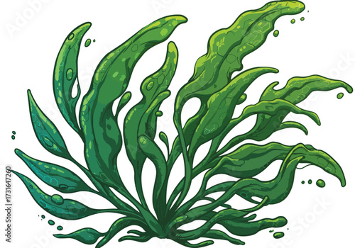 Illustration of vibrant green aquatic plant with flowing leaves and water droplets.