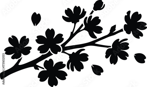 Detailed silhouette of a blooming cherry blossom branch with flowers and falling petals, beautiful spring floral vector illustration.