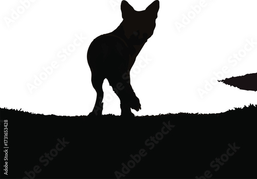 Silhouette of a curious dog standing on a hill isolated on white background, its ears perked up, looking back with a sense of alertness and inquisitiveness