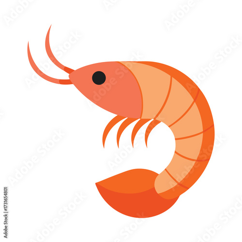 Simple flat color style shrimp art seafood cuisine ocean dweller marine life aquatic animal food ingredient