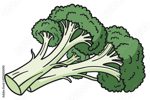 broccoli isolated on white