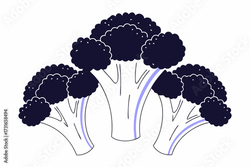 Healthy broccoli vegetable