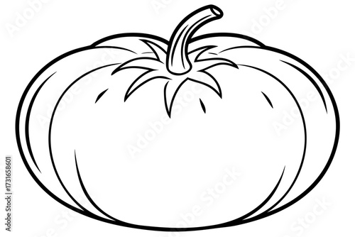 vector illustration of a tomato