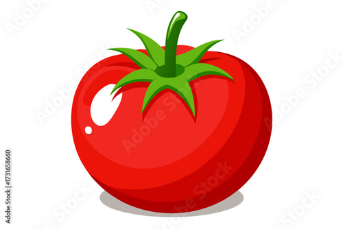 tomato isolated on white