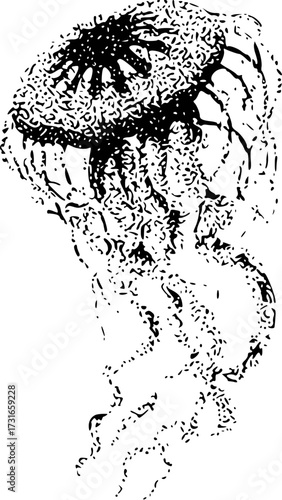 Black and White Illustration of a Jellyfish with Tentacles Floating in Water