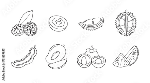 Collection of various fruits and tropical fruits in a distinctive doodle silhouette style