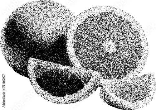 Stippled Oranges: A Whole and Sliced Citrus Composition