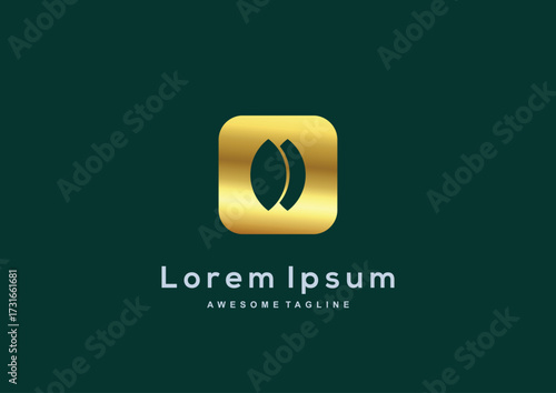 Luxury Leaf box gold color logo template