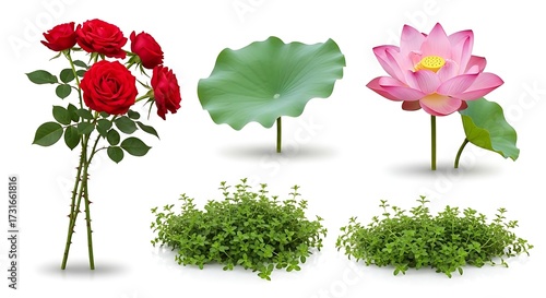 Fototapeta Naklejka Na Ścianę i Meble -  Isolated floral elements roses lotus and greenery