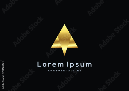Luxury Company gold color logo template