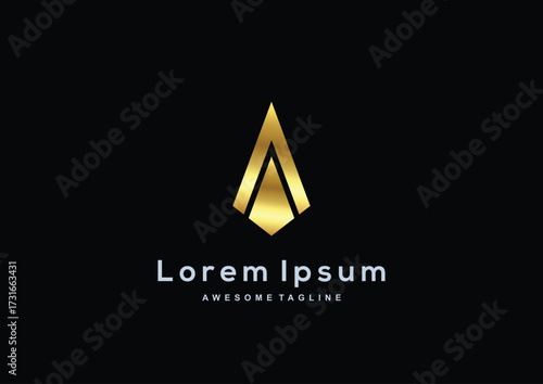 Luxury Company gold color logo template