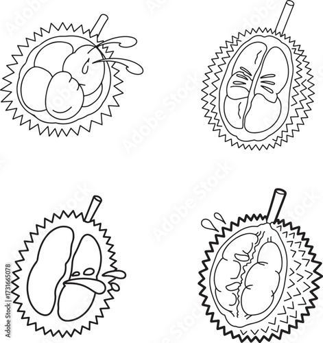 Simple outline drawings of durian fruit pieces showing seeds and pulp