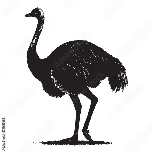 Silhouette of an ostrich standing on a white background, showcasing its long neck and feathered body on transparent background 