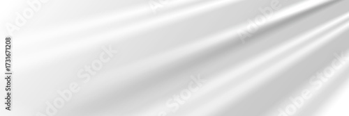Glare from the sun's rays on the wall. Blurred shadows from leaves and plants in the room. Soft overlay of natural light. Abstract background for product