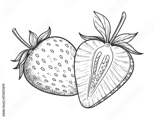 Line art drawing of whole and halved strawberry