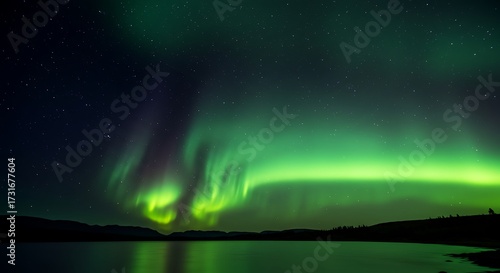 Wallpaper Mural Spectacular green aurora borealis display over a calm lake at night Torontodigital.ca