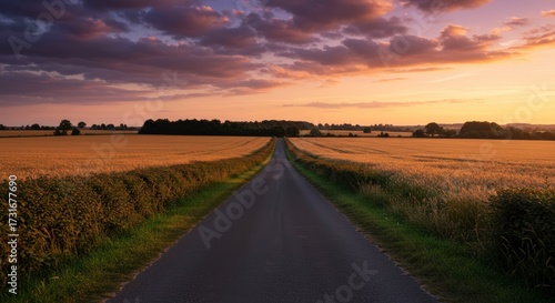 Road through golden fields under a dramatic sunset sky landscape horizon for commercial use