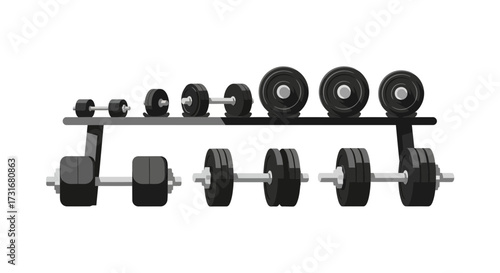 Arrangement of dumbbells on a rack, progressing in size for strength training