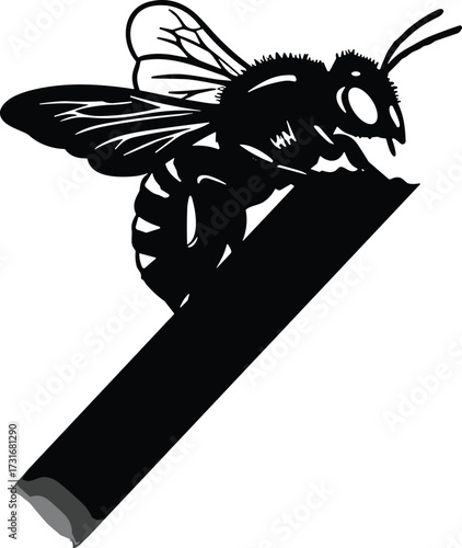 PrintBlack and white bee illustration, detailed insect drawing, perched on stick, nature sketch, entomology artwork, vintage style, scientific study, pollinator design