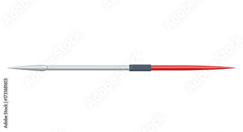 Elegant symmetrical vector illustration of a double ended spear design