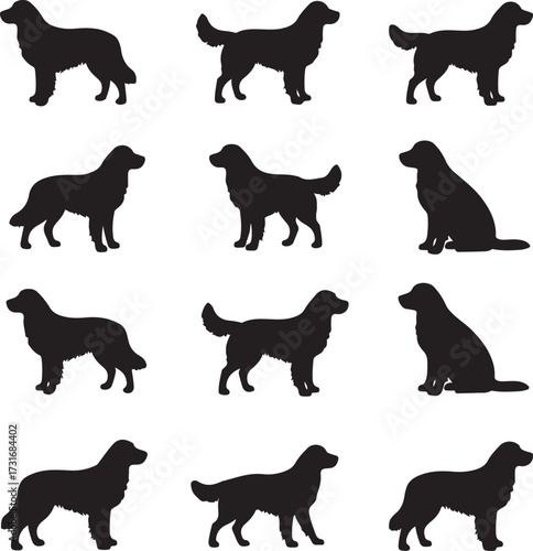 Golden Retriever Silhouettes: A striking collection of various golden retriever silhouettes against an uncluttered backdrop, the perfect visual for pet lovers and design enthusiasts.