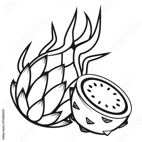 Dragon fruit illustration with black and white style