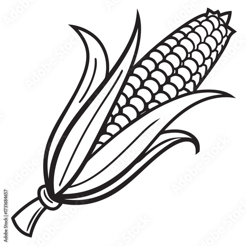 Line art of fresh corn on the cob