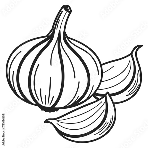 Outline drawing of garlic and cloves