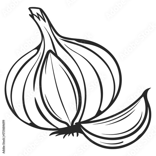 Monochrome illustration of a garlic bulb and clove