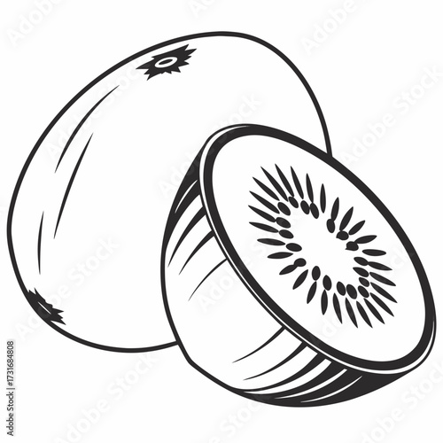 Kiwi fruit illustration, one whole and one sliced