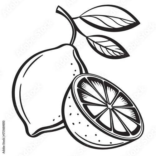 Freshly sliced lemon with leafy sprig outline illustration 