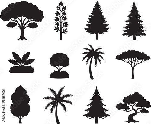 Silhouette of trees: A collection of diverse tree silhouettes, ranging from deciduous trees to iconic conifers and tropical palm trees, stand as a symbol of nature's variety. 