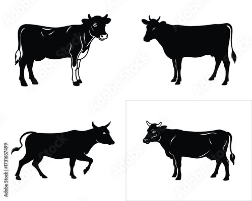Cows Silhouettes Set