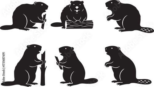 Beaver Silhouette Set: A stylized assortment of silhouette beaver illustrations showcasing these industrious mammals in various poses, perfect for conveying activity and wildlife concepts.