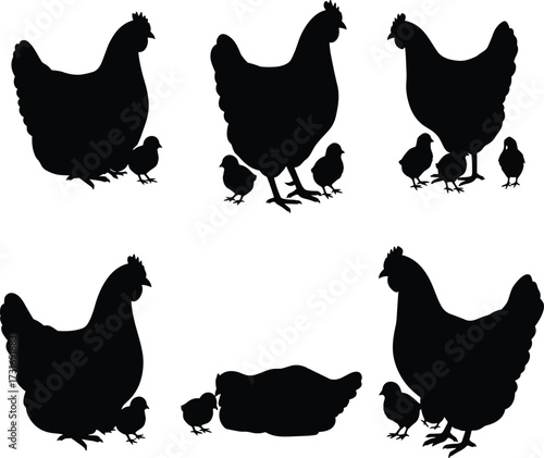 PrintSilhouette of hens with chicks, mother hen and baby birds, poultry family illustration, farm animals, educational design, livestock concept, nature