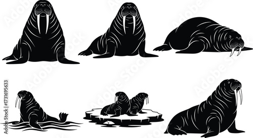 PrintWalrus silhouette illustration, arctic marine animal, wildlife vector design, sea mammal clipart, ice habitat, swimming walrus, sitting walrus, nature art