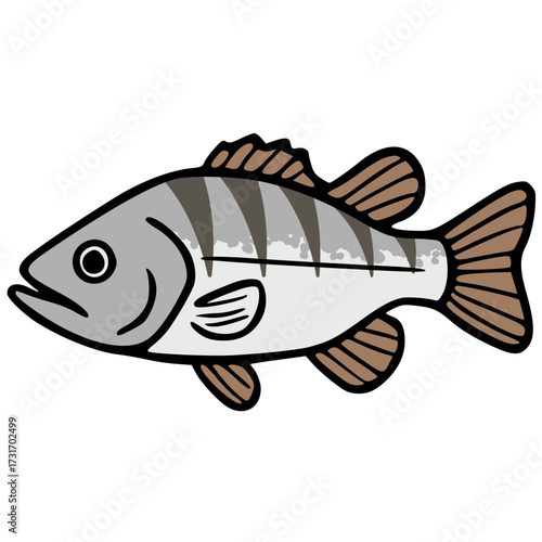 Largemouth bass freshwater sport fish vector icon