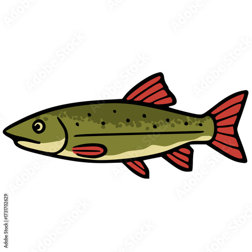 Northern pike freshwater predator fish vector icon