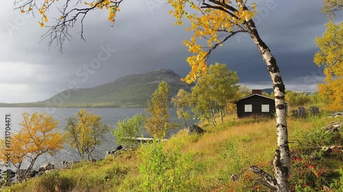 Autumn landscape of yellow birch trees and cloudy sky by a lake in northern Finland