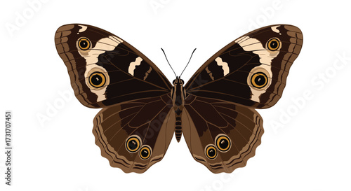 A close up of a brown butterfly with distinctive eye spots.